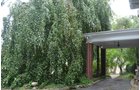 Property photo 27 - Historic Beechwood Circle Mansion
